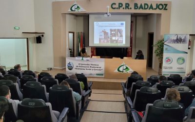 IV Jornada de Economía Verde y Circular. Materiales naturales y reciclados