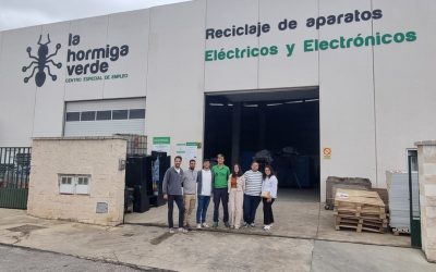 Transferimos conocimiento a empresas de la edificación: La Hormiga Verde